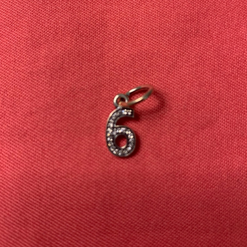 Pandora Charm Bracelet Number 6